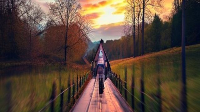 From Lens to Display: The Journey of Photography in the Digital Age | dana 77 slot login, game grati