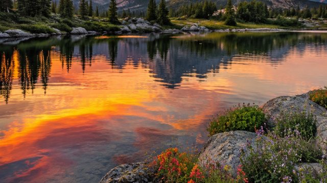 Embrace Serenity: A Gallery of Tranquil Nature Wallpapers | surat4d, tahta4d slot, situs alternatif 