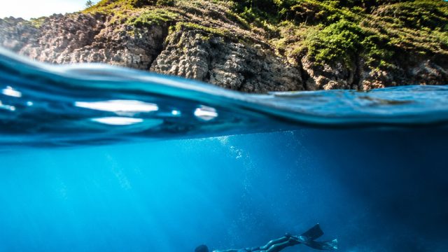 Exploring the Enigmatic Beauty of Oceanic Worlds | login slot 5000, jambo bet minimum stake, f1 paul