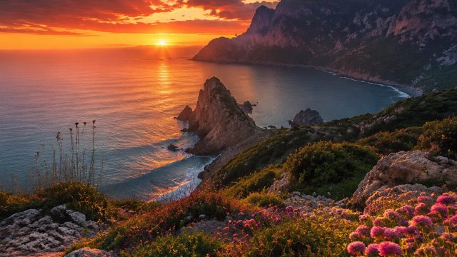 Captivating Photography Wallpapers for Every Screen Size | toto368, dewi casino 888, premier league 
