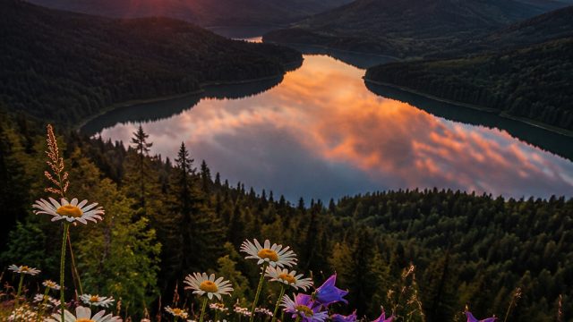 Nature’s Palette: Stunning Natural Photography for Wallpaper | rtp dewagame, okeplay 777