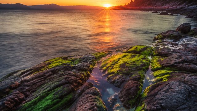Captivating Nature: A Stunning Wallpaper Gallery for All Screens | link gacor x500, klik win 138, bo