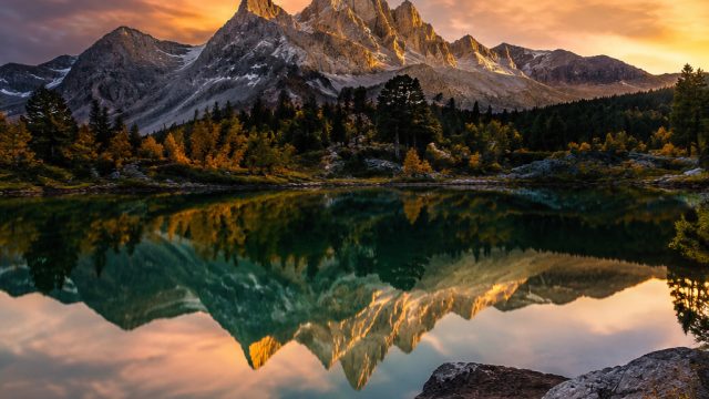 Choosing the Right Photography for Your Wallpaper Needs | kuchel ackerman, tabel hongkong togel, kel