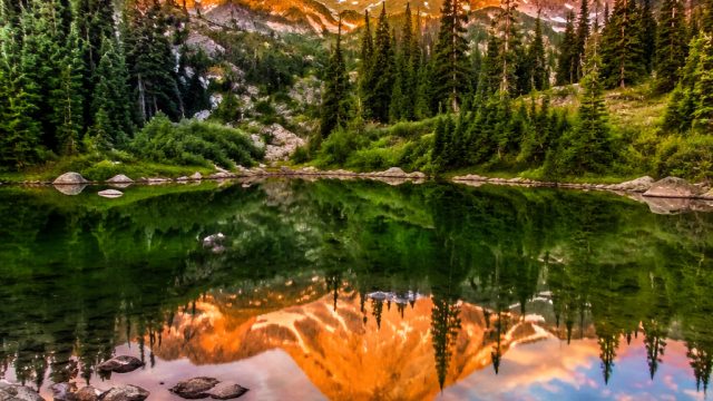 Captivating Nature: Embrace Serenity with Stunning Wallpapers | feyenoord fc soccerway, pusaka 189 s