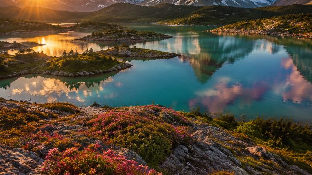 Explore the Enchantment of Nature: Stunning Wallpapers for Your Screens | first team to score predic