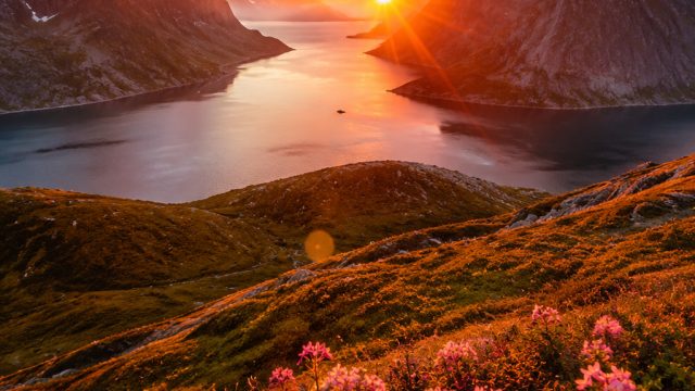 Exploring the Transformative Power of Nature Photography | lucky me slots casino, planet 88
