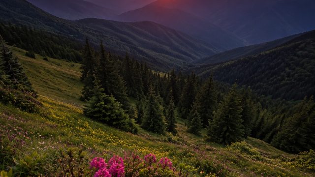 Timeless Landscapes: A Fresh Perspective on Natural Beauty | mpo700, cara bisa shopee pinjam