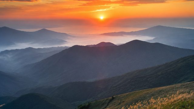 Discover Nature's Beauty: Tai Mo Shan Wallpaper Inspiration | raja slot 138, hollywood horse racing 