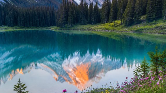 Captivating Nature: Explore Vibrant Landscapes as Stunning Wallpapers | permainan kartu tts, mpo383 
