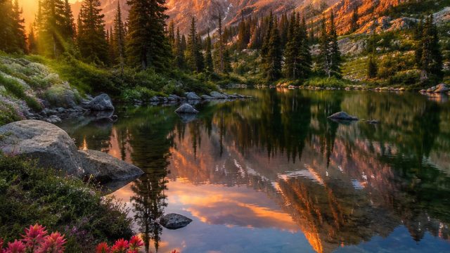 Celebrating Nature's Beauty: Stunning Wallpaper Gallery Picks | info slot gacor, 131 slot