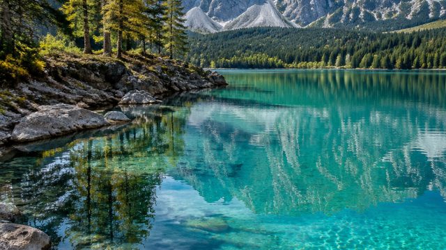Top Trends in Photography for Wallpaper Design in 2023 | londonpoker77, binatang berbulu togel, slot