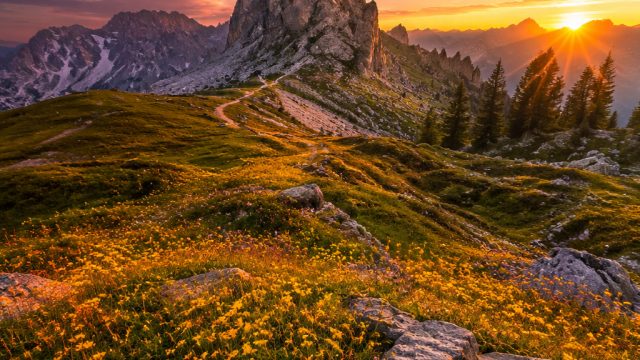 The Fusion of Art and Nature: Photography Wallpapers Inspired by the Outdoors | raja indo slot, padi