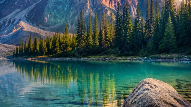 Captivating Nature: Why Wilderness Wallpapers Perfectly Inspire | starwin 777, asialiga88, 303vip