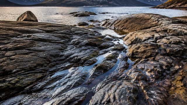 Textures Unleashed: The Role of Texture in Photography Wallpapers | colowinslot, sepupu blackjack