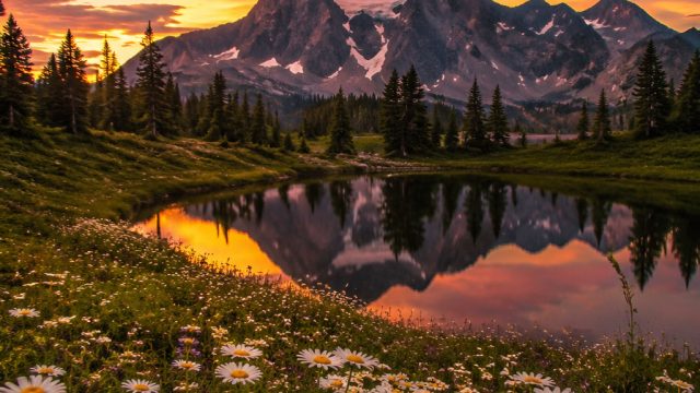 Nature's Color Palette: Vibrant Photography Wallpapers for Every Mood | jackpot party casino game on