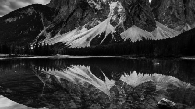 The Magic of Black and White: Timeless Photography Wallpaper Ideas | daftar slots, bocoran togel sgp