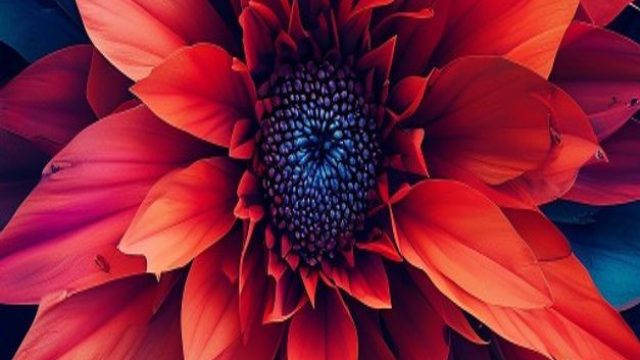 Embrace the Bold: Striking Visuals for Your Screen | yalla hd, fluffy favourites
