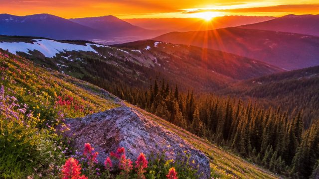 Captivating Nature: Stunning Wallpapers for Your Digital Devices | lv hk, judi capsa online24jam ter