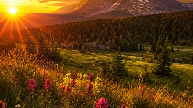 The Golden Hour: Capturing Nature’s Finest Moments in Photography | rtp pragmatic88, situs game slot