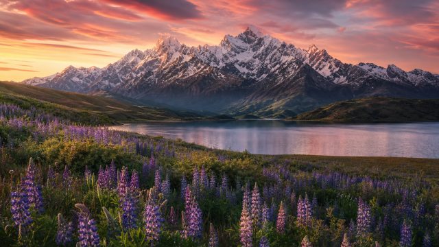 Transform Your Screen with Nature's Splendor: Stunning Wallpapers | mstar855, slot demo olympus x500