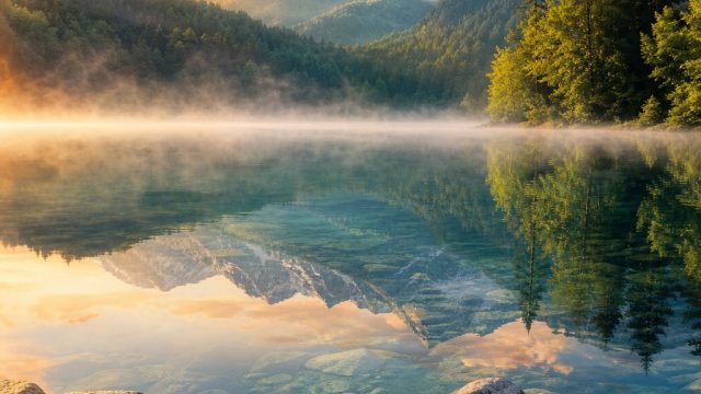 Explore the Serenity of Nature: Tranquil Wallpaper Gallery | slot raja4d, sugar rush slot png
