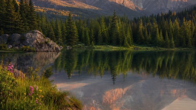 Elegant Nature: Transform Your Screen with Stunning Landscapes | slot deposit pulsa tanpa potongan i