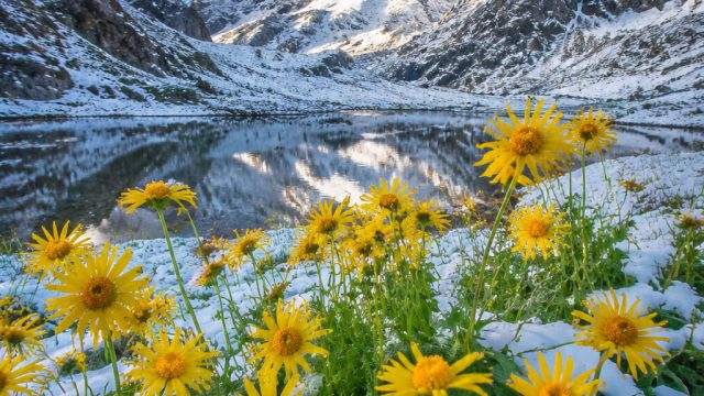 Enchanting Summer Snow: A Rare Visual Journey | raja 789, slot gacor abangda88, link alternatif asli