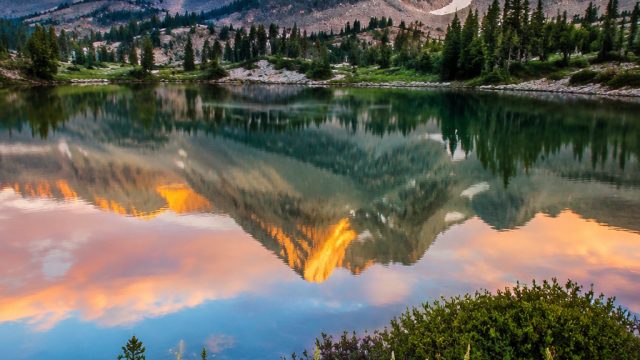 Celebrating Nature: The Best Photography for Your Wallpaper Needs | pola slot zeus, fun game 777 slo
