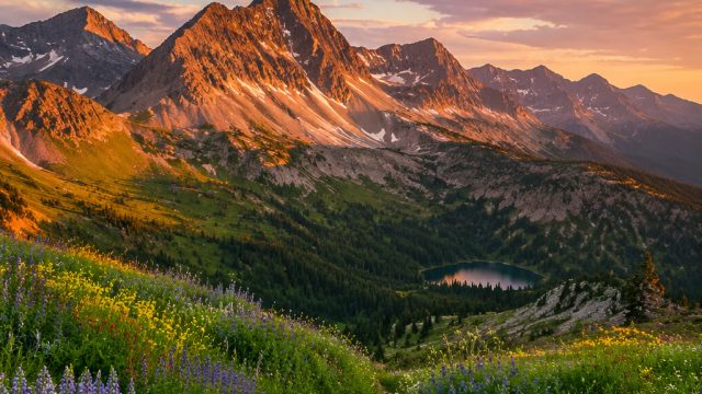 Captivating Nature: Your Perfect Wallpaper Escape | ws77 slot, slot king338
