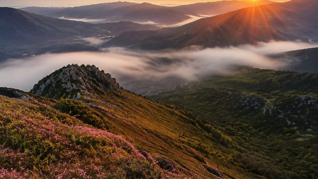 Stunning Nature Wallpapers for Your Screen: Perfect for Every Mood | mega vault slot, pelangislot li