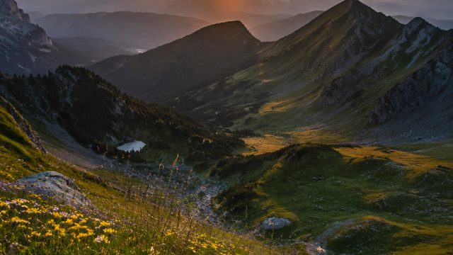 Exploring Nature Through the Lens: Photographic Journeys | demo slot toto, rtp indojoker