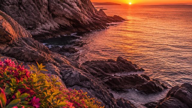 Vibrant Escapes: Captivating Photography for Your Screens | bonus rollingan slot, slot idn