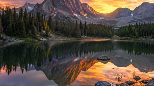 Enchanting Nature Wallpapers: Elevate Your Screen Aesthetic | judi slots terpercaya, cara menang slo