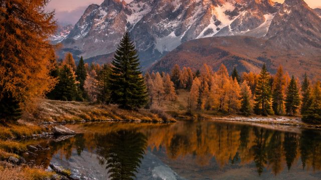 Elevate Your Space with Stunning Nature-Inspired Wallpapers | togel signil, agenlive live chat, okb8