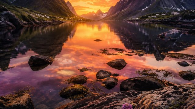 Innovative Wall Art: How Photography is Shaping Modern Wallpaper Trends | gacor4d slot, undang2 judi