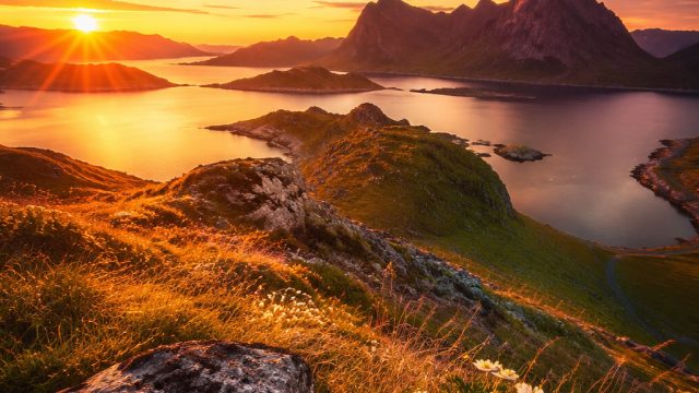 Top 5 Photography Techniques for Eye-Catching Wallpaper Designs | game online slot olympus, tarn sof
