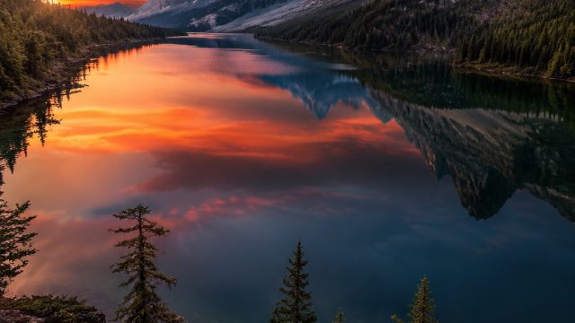 Creating Custom Wallpapers from Your Favorite Photos | no deposit free money casino codes, zeus onli