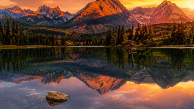 Embrace the Visual Splendor of Nature with Stunning Wallpapers | judi spin slot, menang123 4