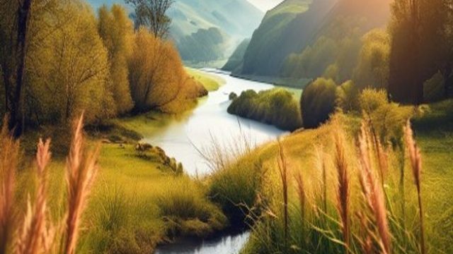 Capturing the Essence of Nature: A Photographic Journey | toto slot99, fonko