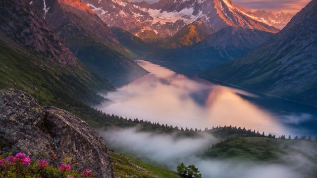 Captivating Nature Walls: Elevate Your Screens with Earth’s Beauty | game butterfly kyodai free, war