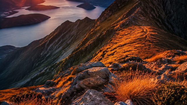Creating a Stunning Photography Portfolio: Tips for Artists | togel bonus new member 20, low deposit