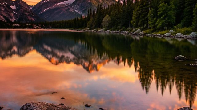 Captivating Visuals: The Allure of Nature-Inspired Wallpapers | starlight princess slot, nama2 judi 