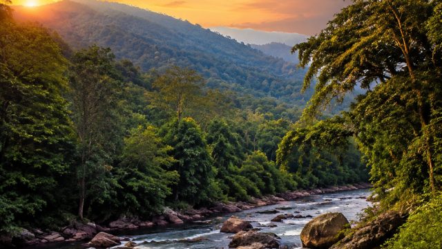 Explore Serene Nature: Stunning Wallpapers of Karnataka's Parks | deposit via pulsa pkv, label138