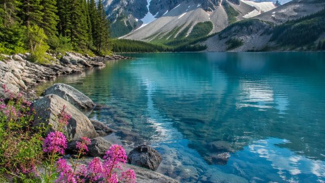 Discover the Enchanting World of Serene Nature Wallpapers | draco malfoy gif, real madrid final 2022
