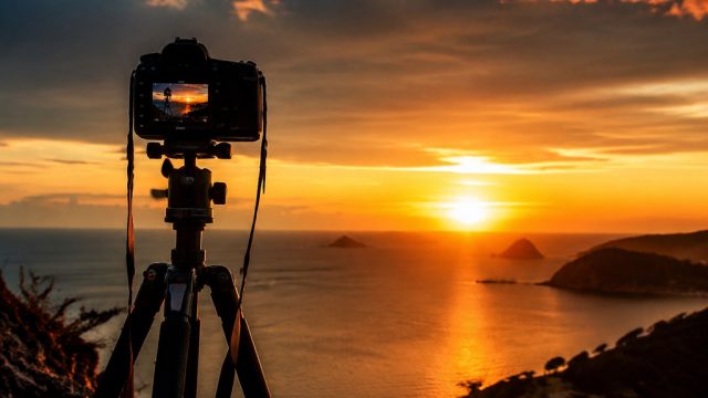 Capturing Moments: The Essence of Photography | game online perang, main pragmatic gratis, rtp raja9