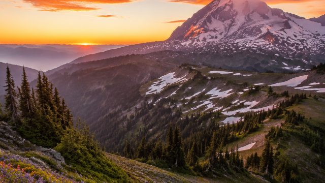 Personalizing Your Space: Custom Wallpaper Solutions with Photography | afb gaming slot, cash slots 
