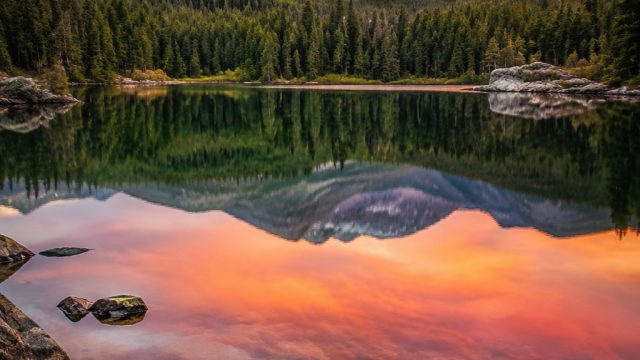 Capturing Nature: The Best Photography for Wallpaper | solo bet, qqslot777 kita, wasiad4d
