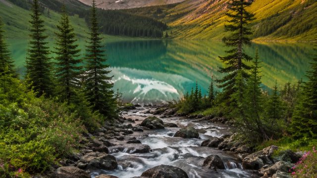 Exploring Nature Through Photography: A Guide to Landscape Images | situs slot 303, n casino