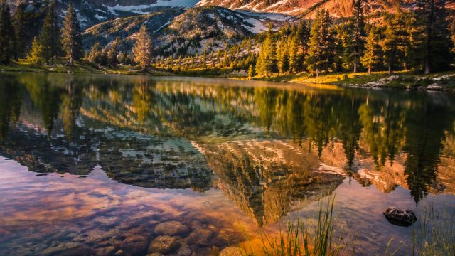 Vibrant Nature: Captivating Wallpaper Designs for Every Device | kabar4d slot, 365 casino bet