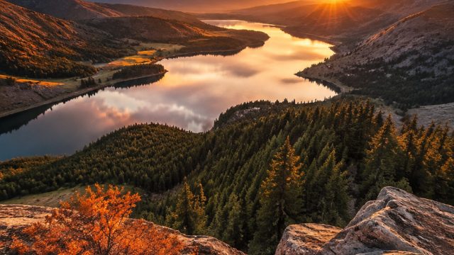 Emotive Earth Tones: A Warm Embrace for Your Screens | no togel hkg, casino life poker facebook, ven